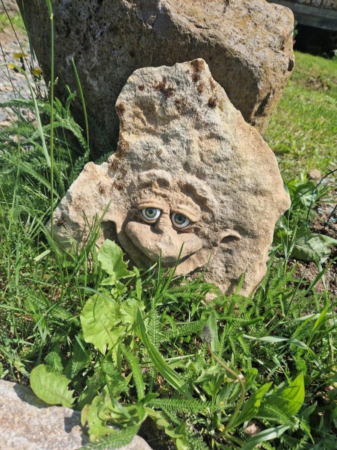 Les Cabanes Feeriques Du Cheix Saint-Diery Dış mekan fotoğraf